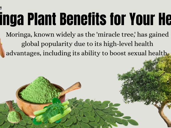 10 Powerful Moringa Plant Benefits for Your Health